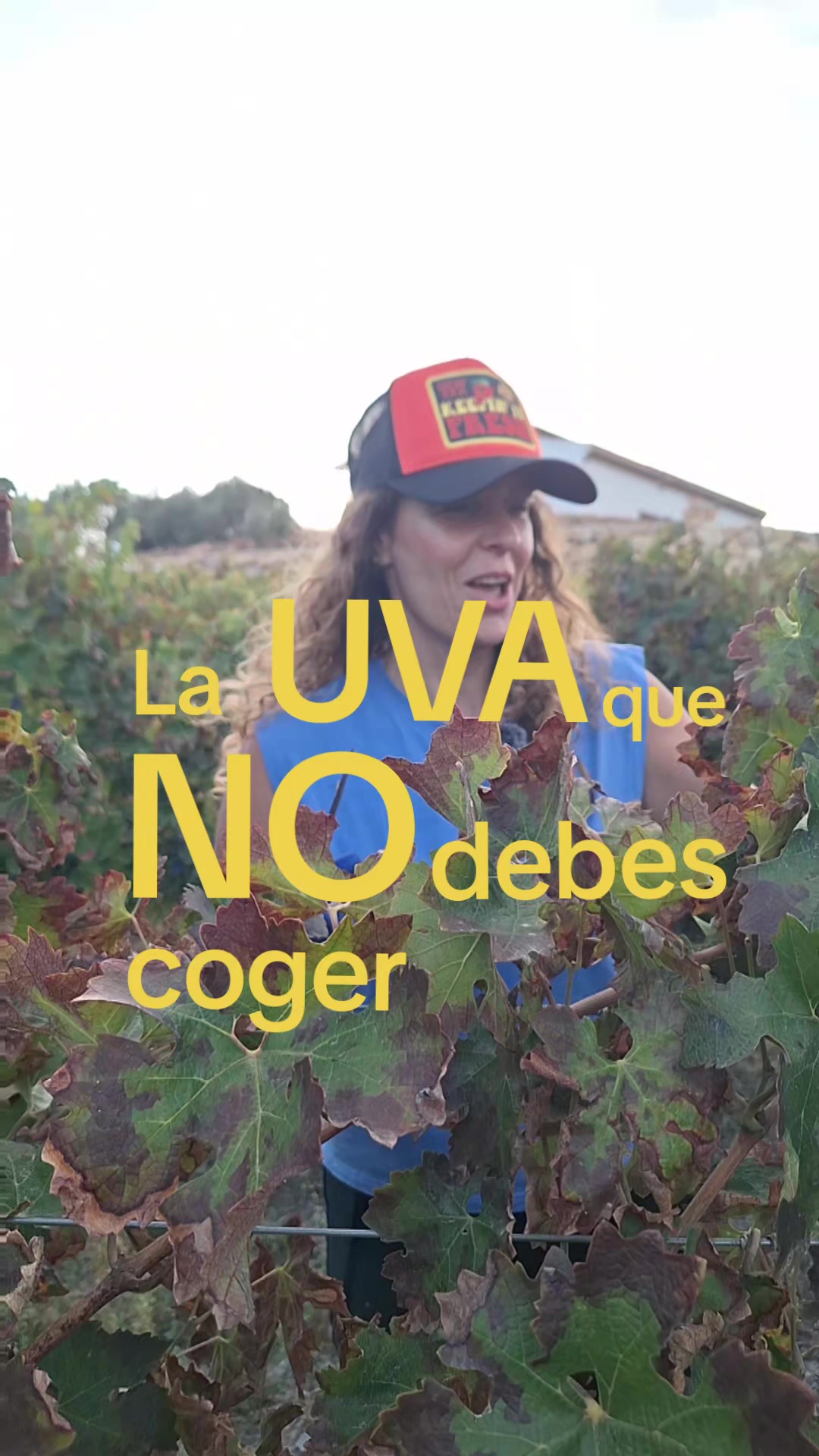 @Juana reche