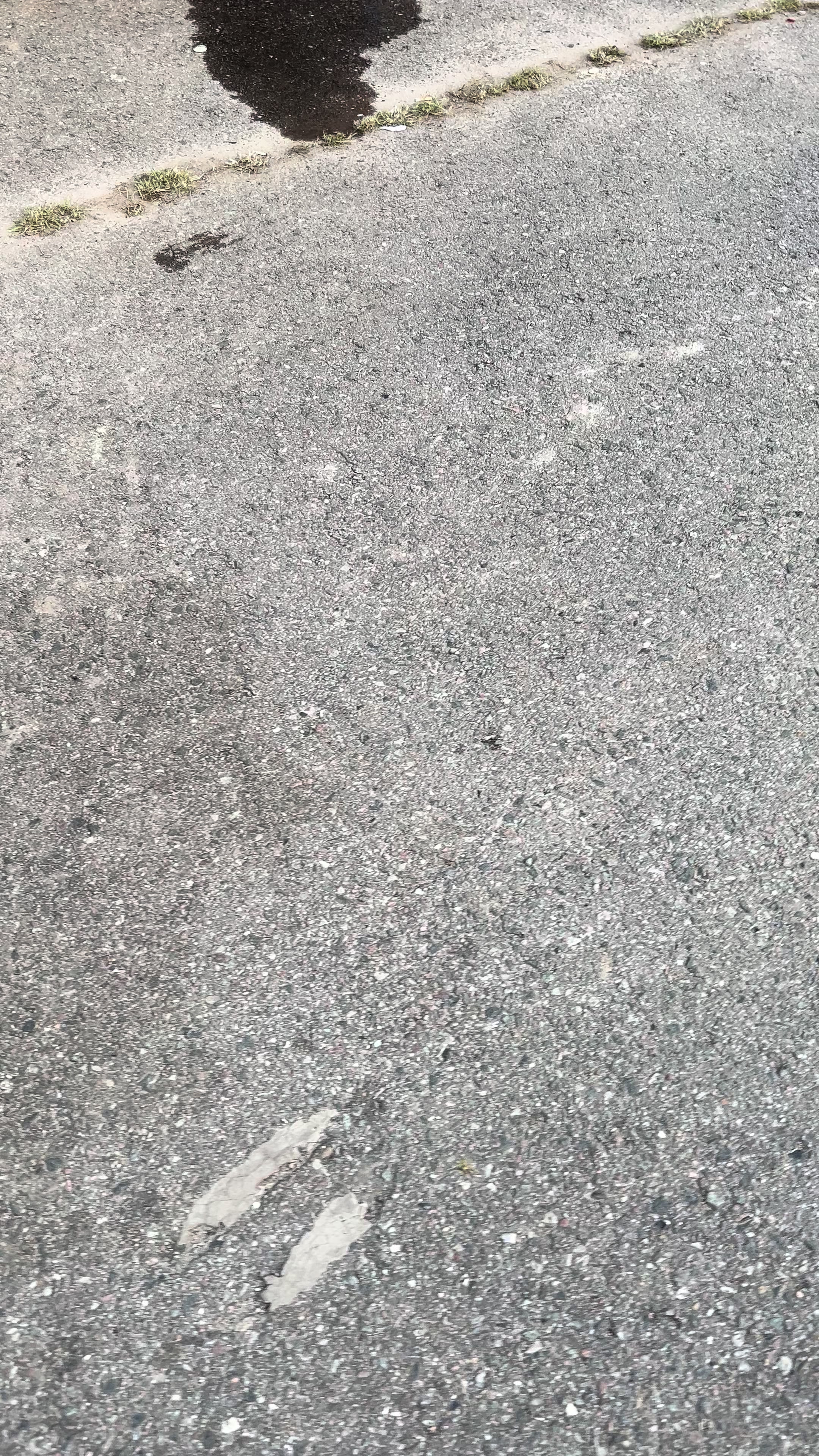 @Корольдорог👑