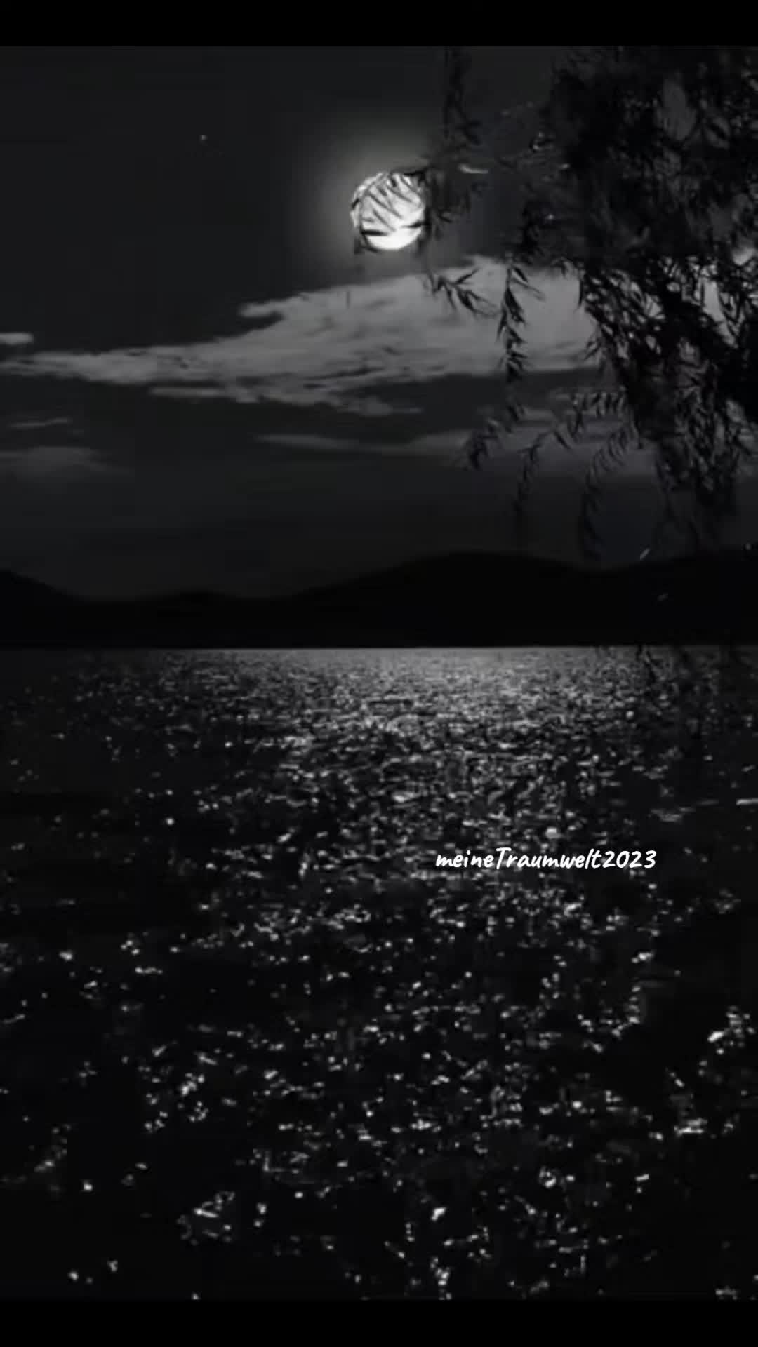 @meineTraumwelt2023