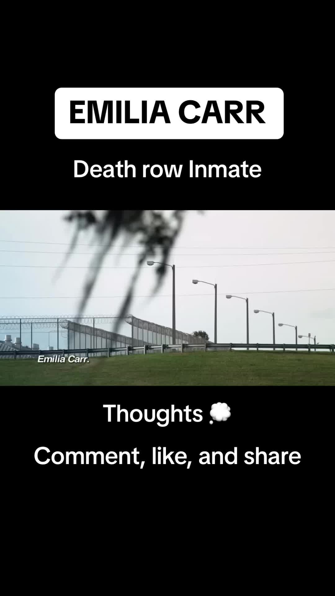 @LightsCameraAction 🔍