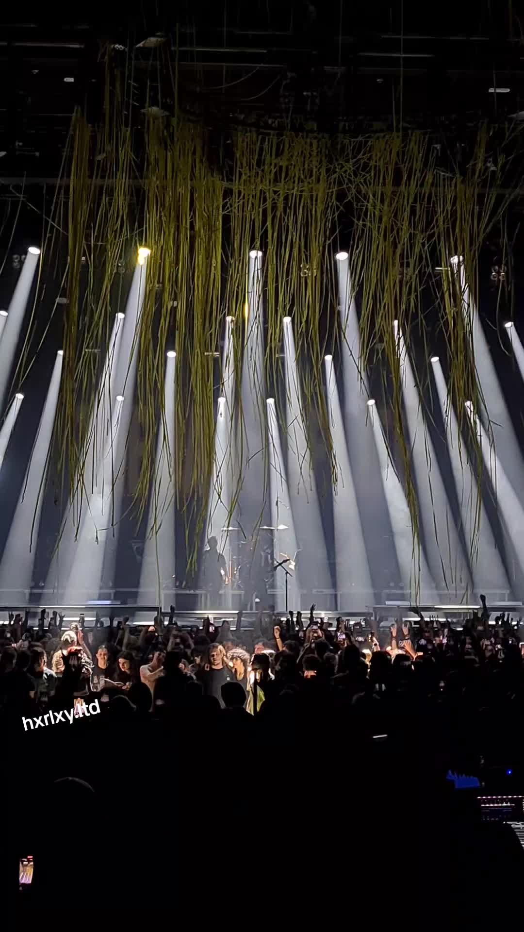 @hxrlxy.ltd art