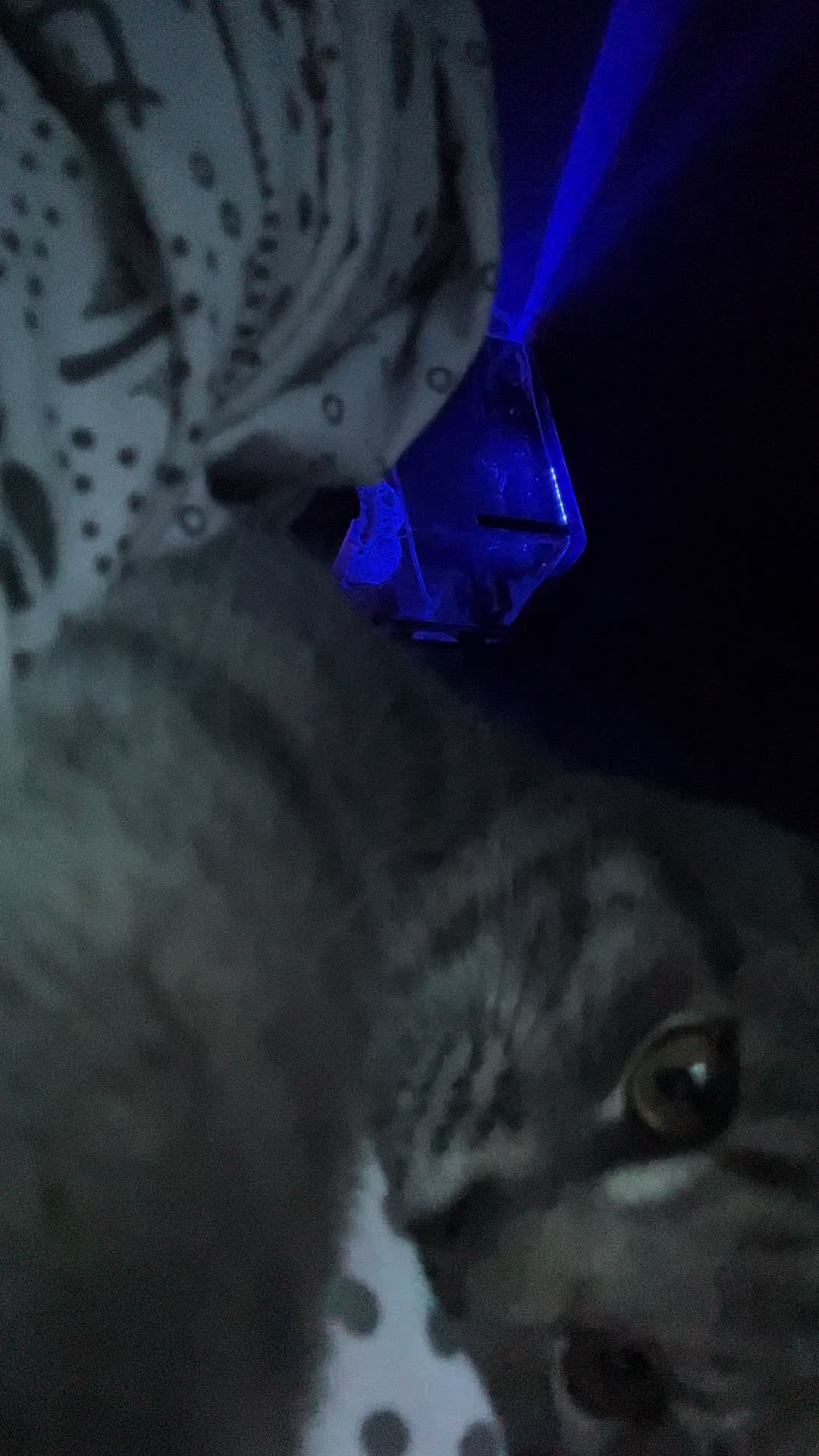 @ghost🩷