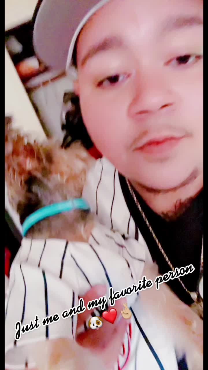 @GucciAndMiMiTheGreatYorkies