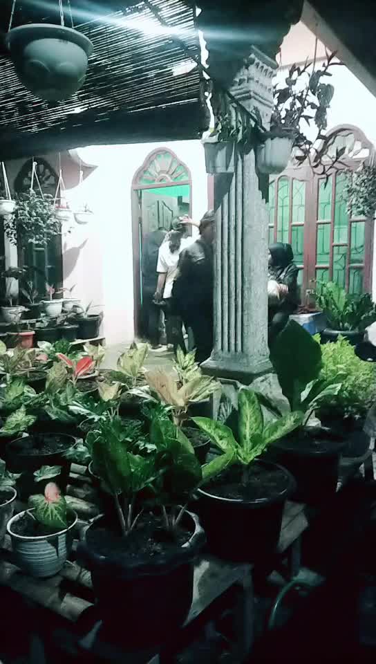 @fridaDamanik
