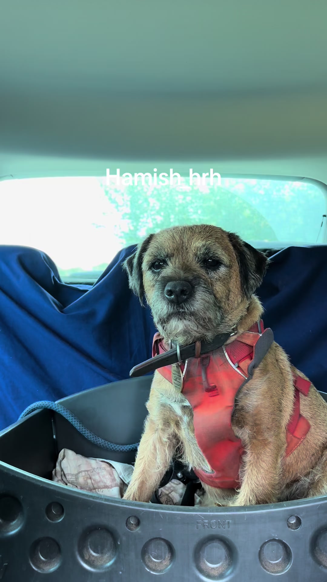 @Lord Hamish HRH