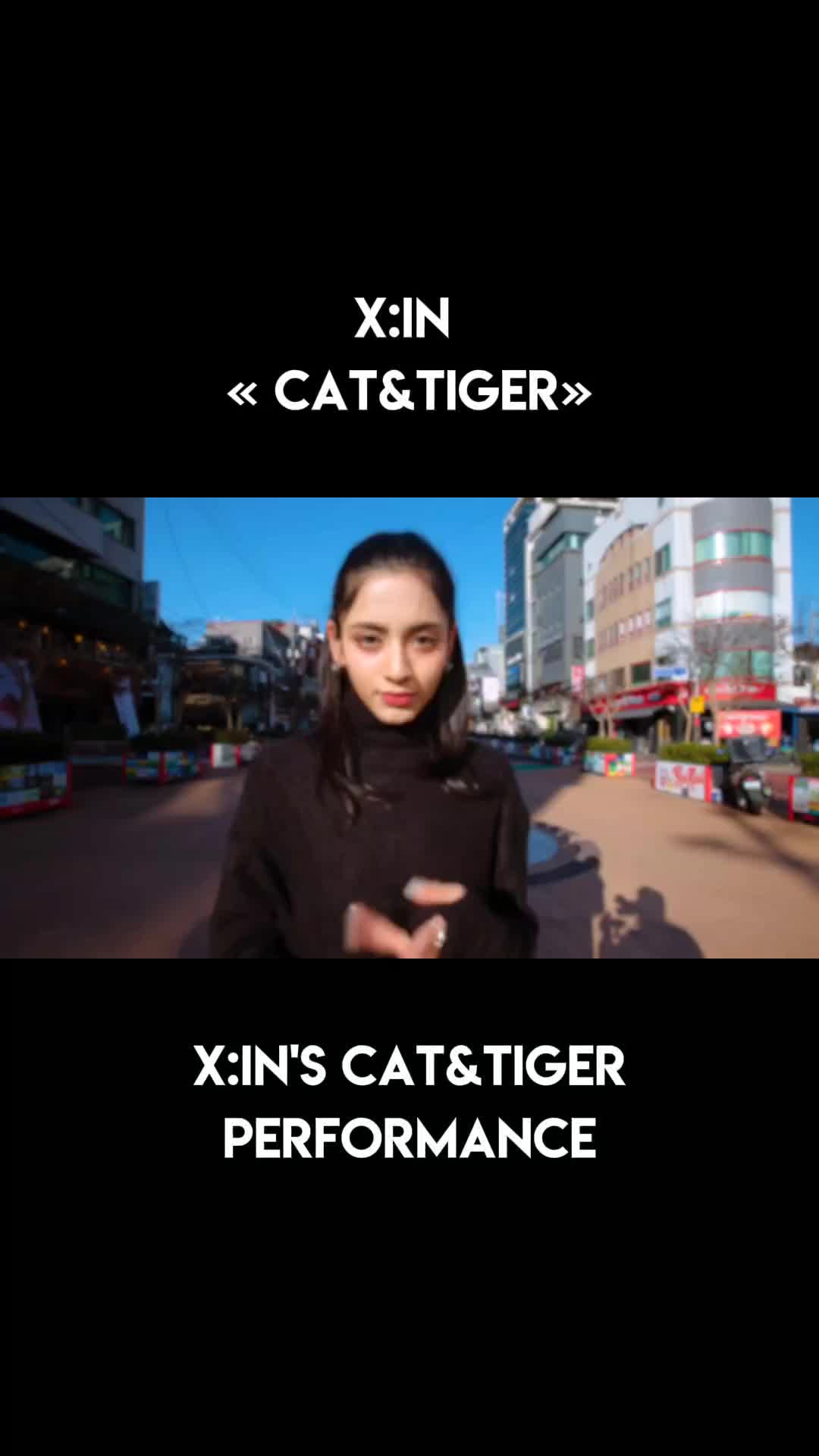 @xinlly
