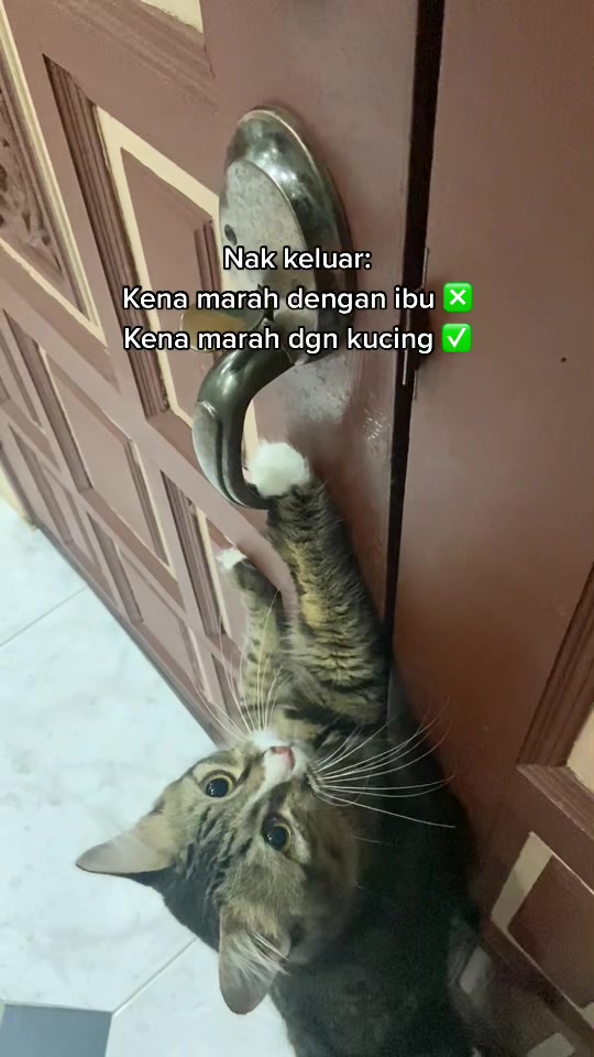 @clicksandbuy
