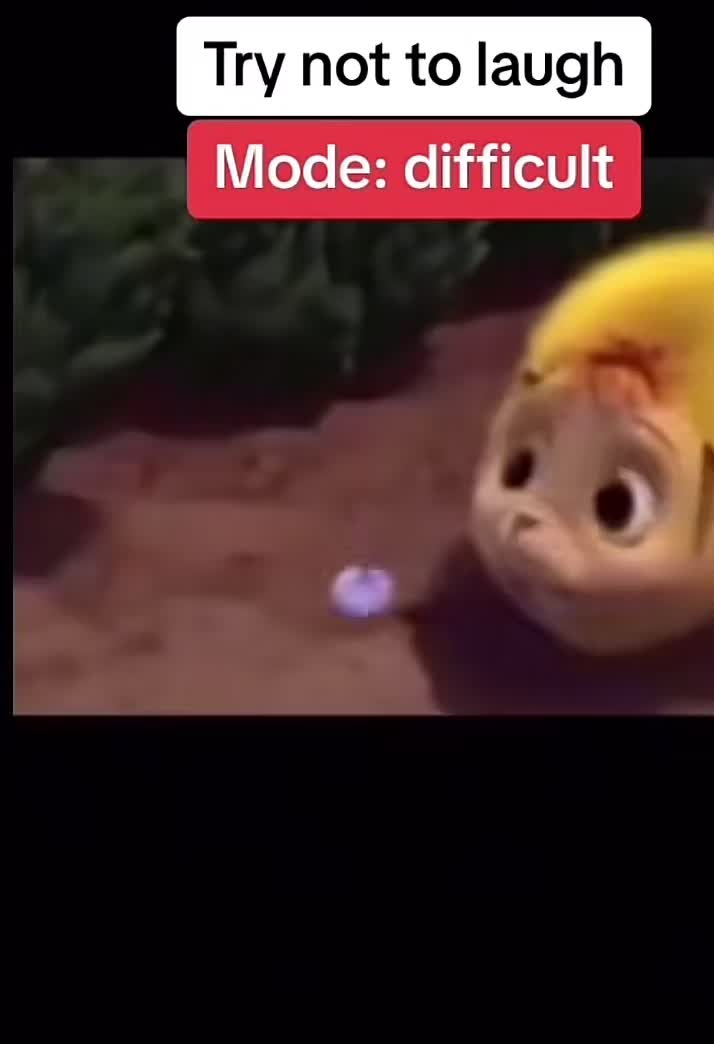 @noazesitz_