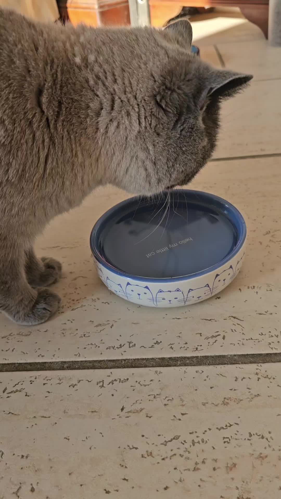 @qqaawww3
