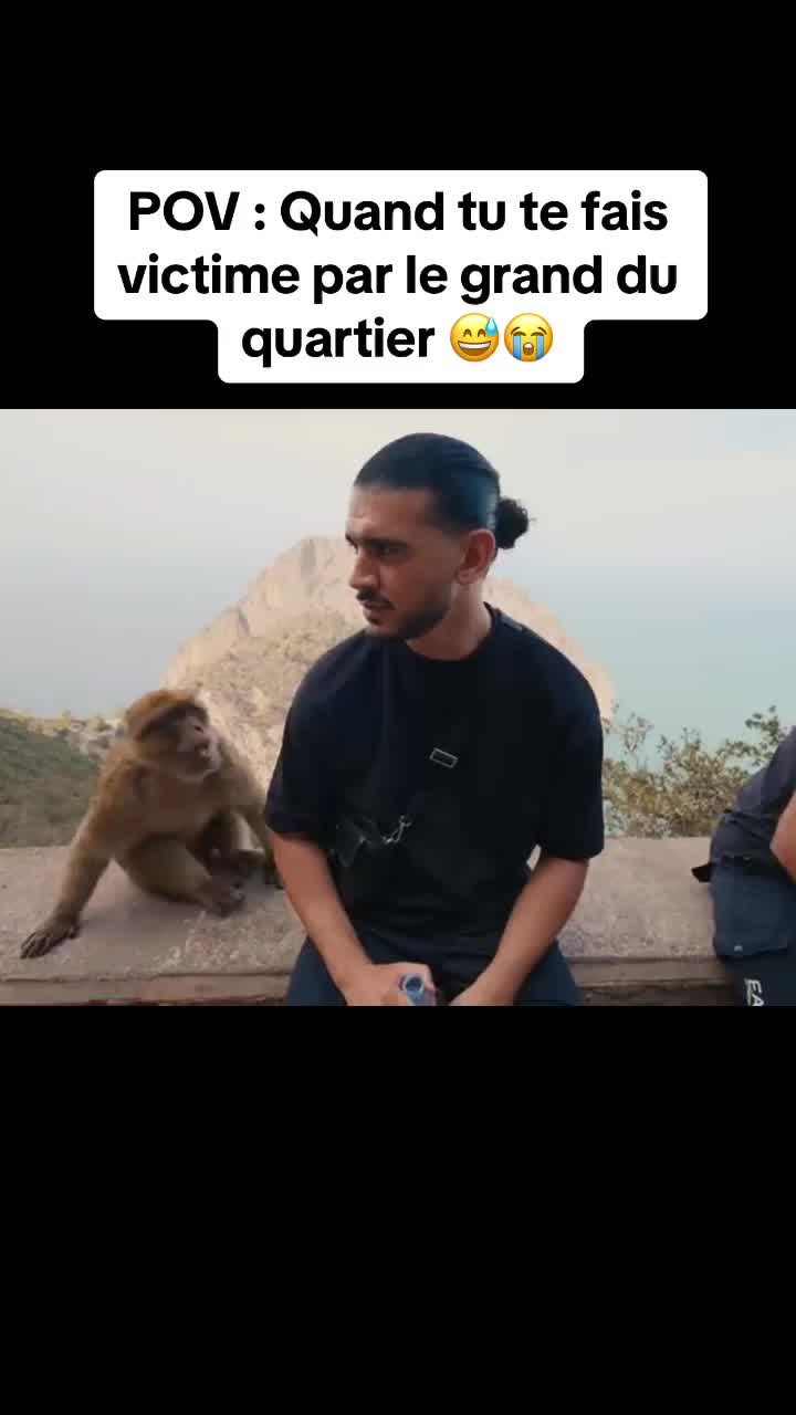 @WildLife2026