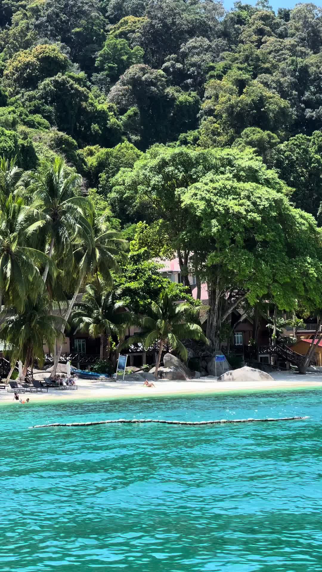 @sahrataya 🍉