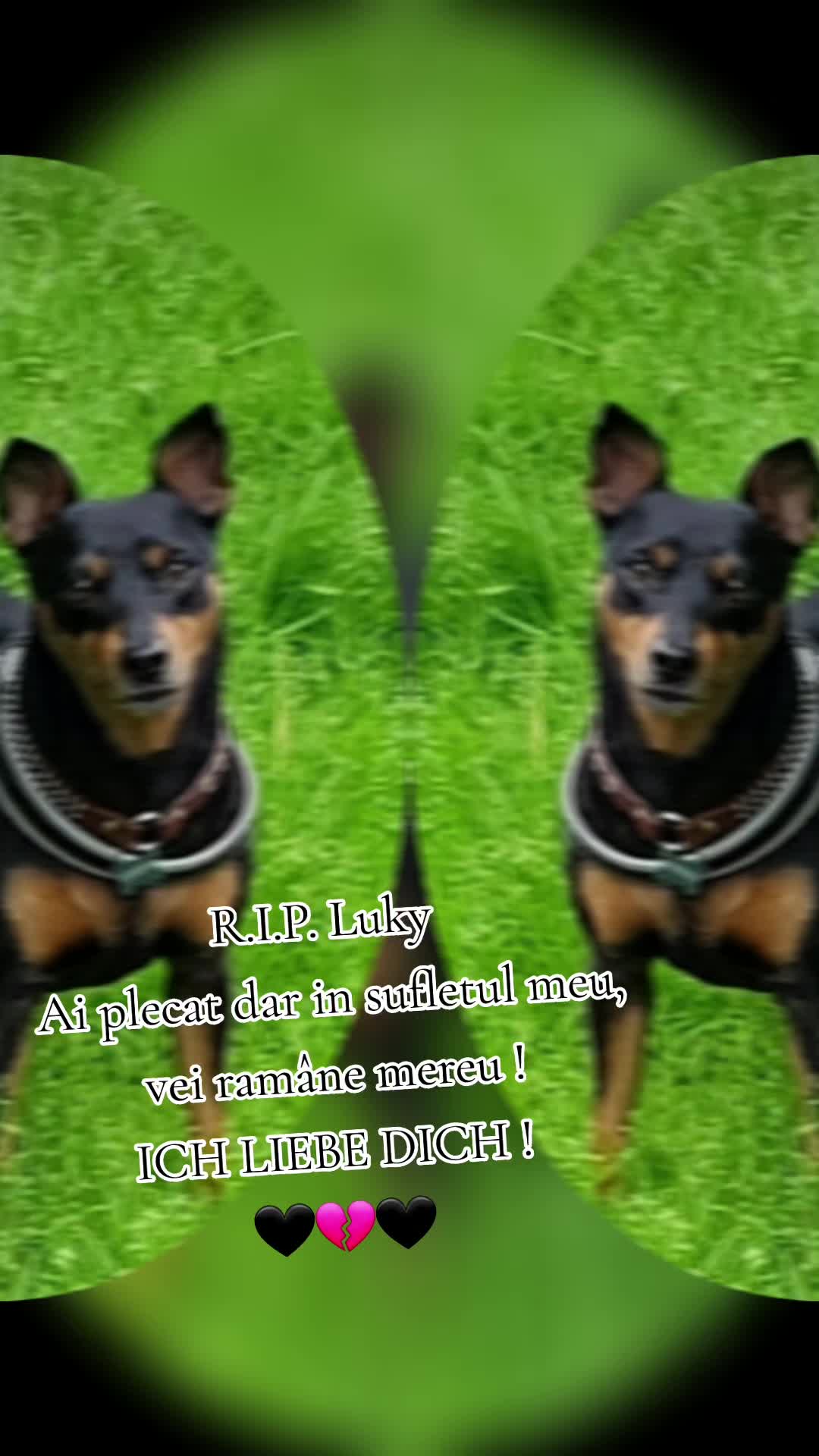 @๐ท๐ด๐ต€๐
๐ฟ๐ผ๐®๐ท๐ธ