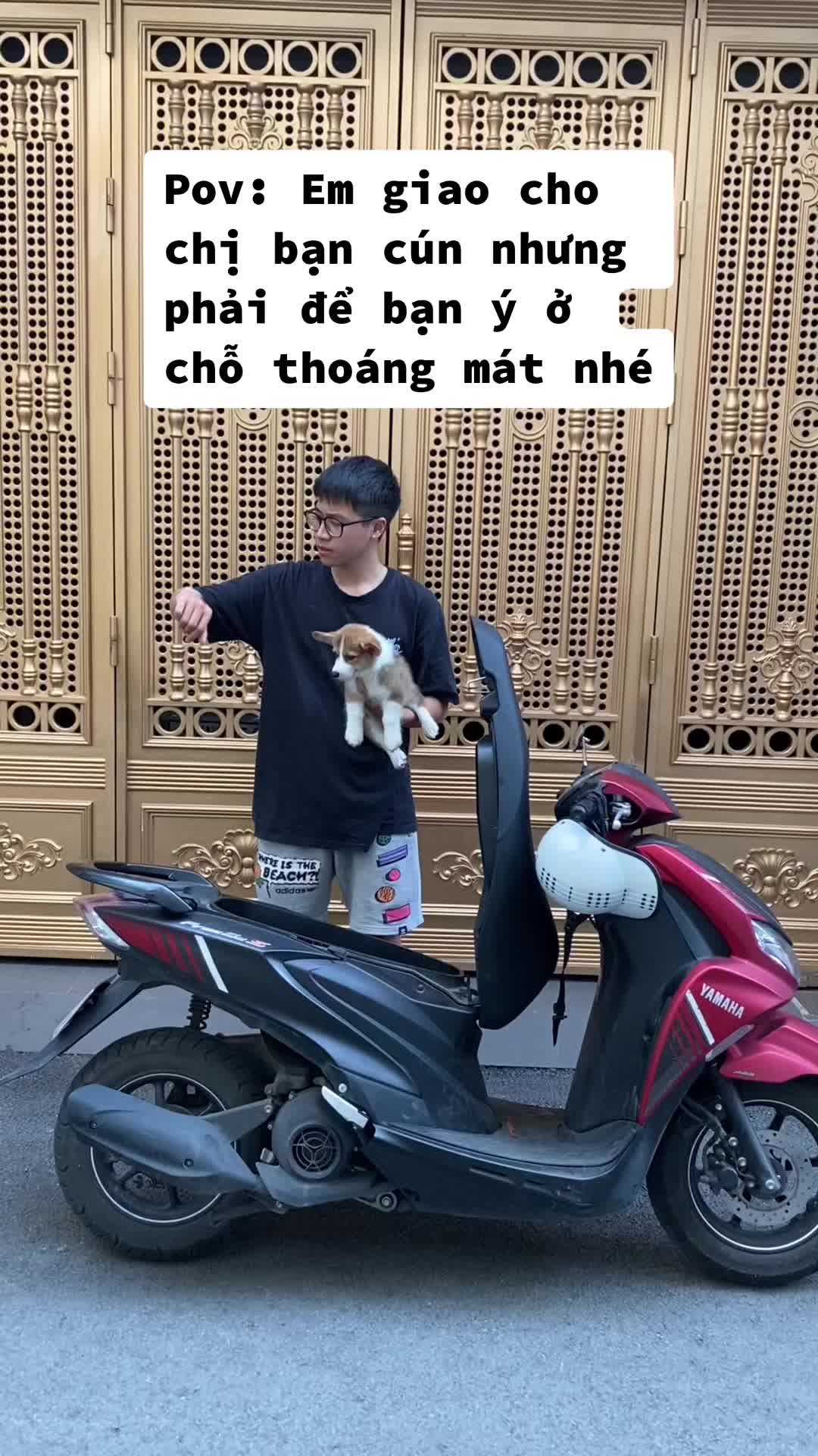@PetHouse - Thế giới Pet