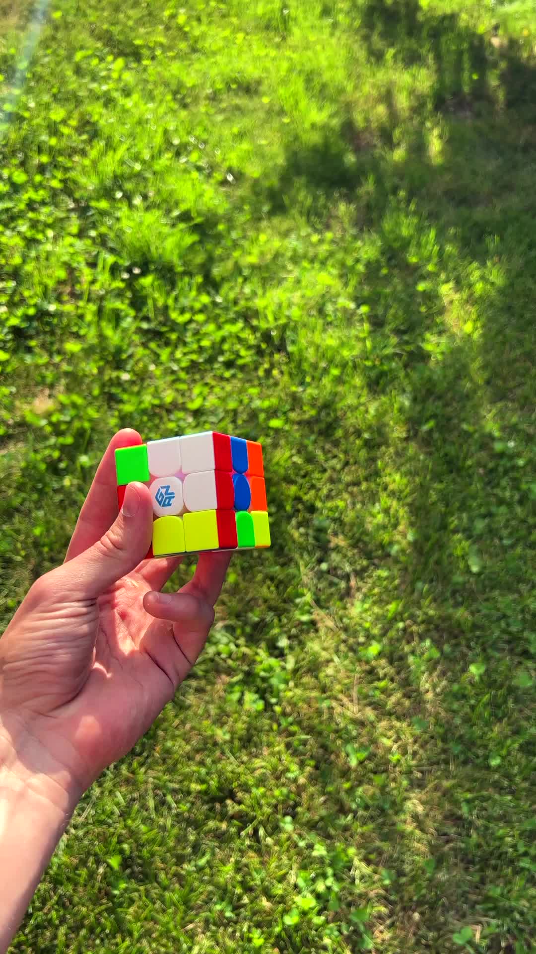 @Лев