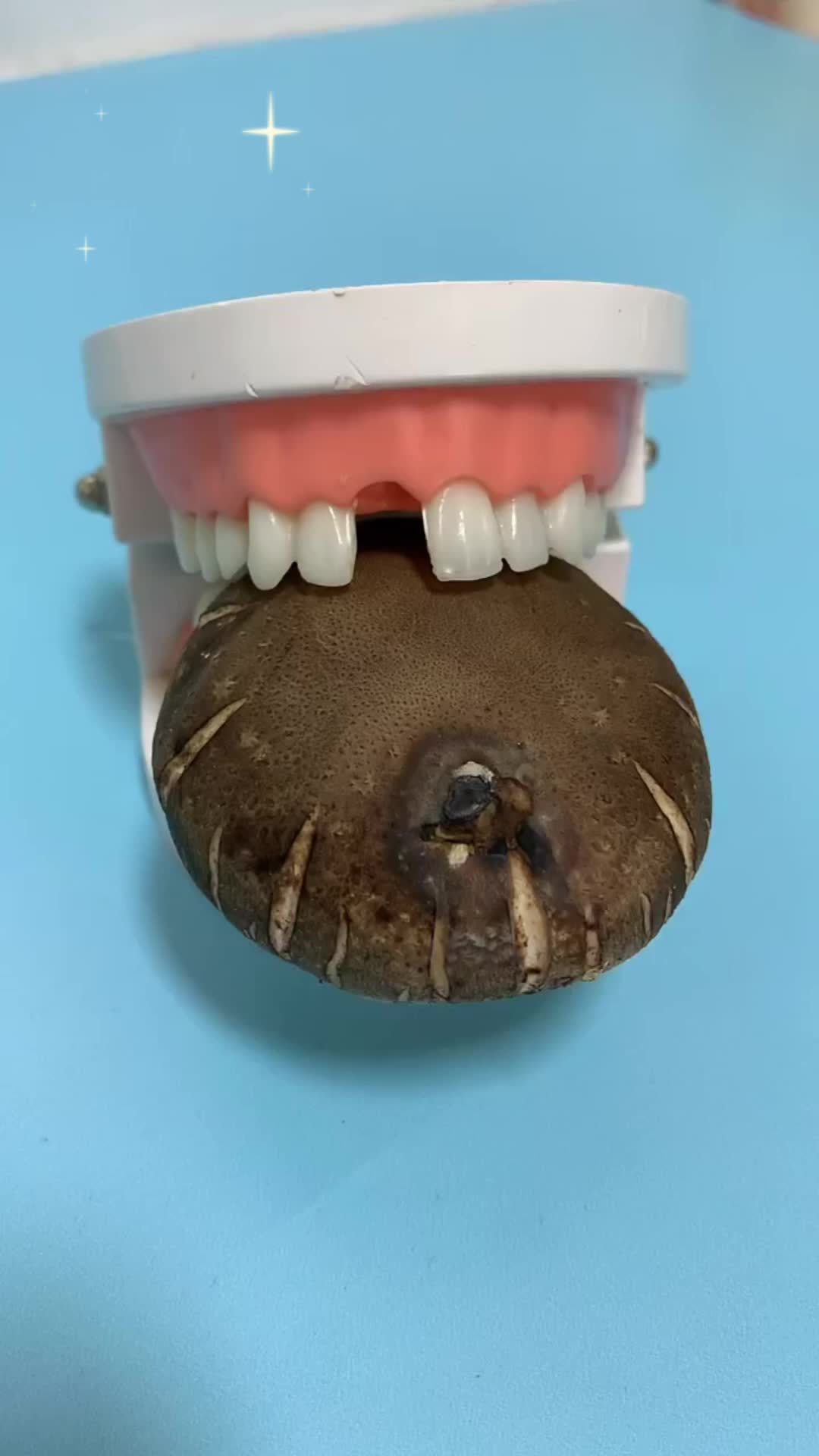 @Dr.Tooth.repair