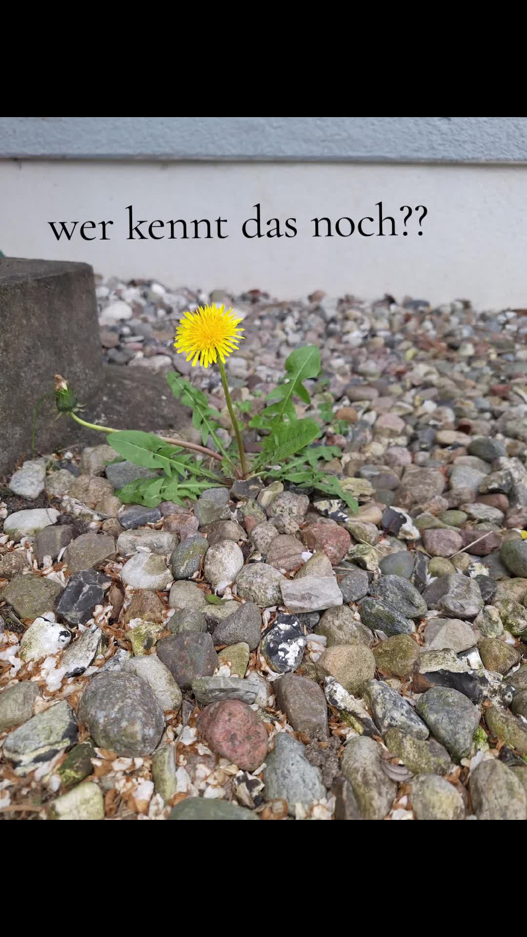 @Yvonne Patsch&auml;ke603