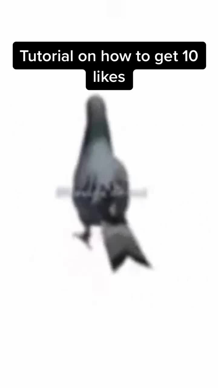 @BOYS21354