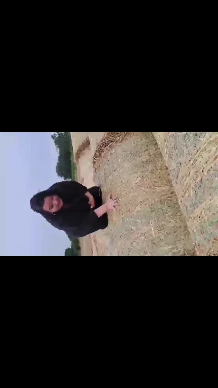 @Lady