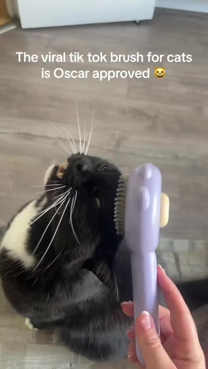 @llstihjsrh2yo7