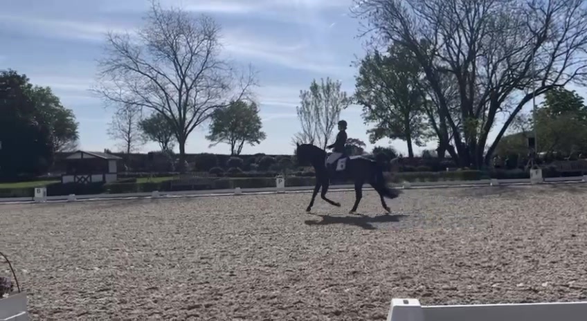 @Reitclubschoren