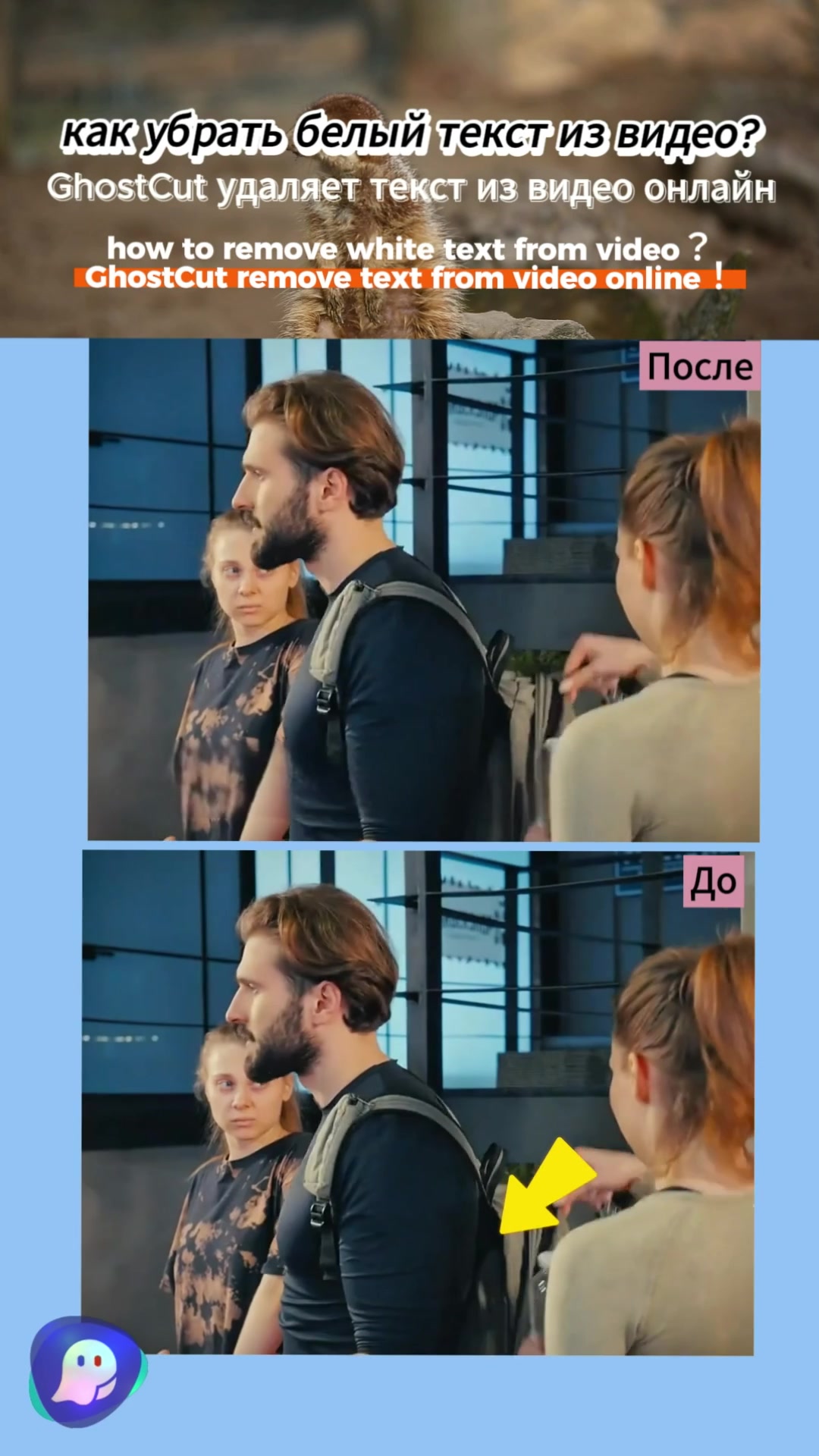 @videotranslation