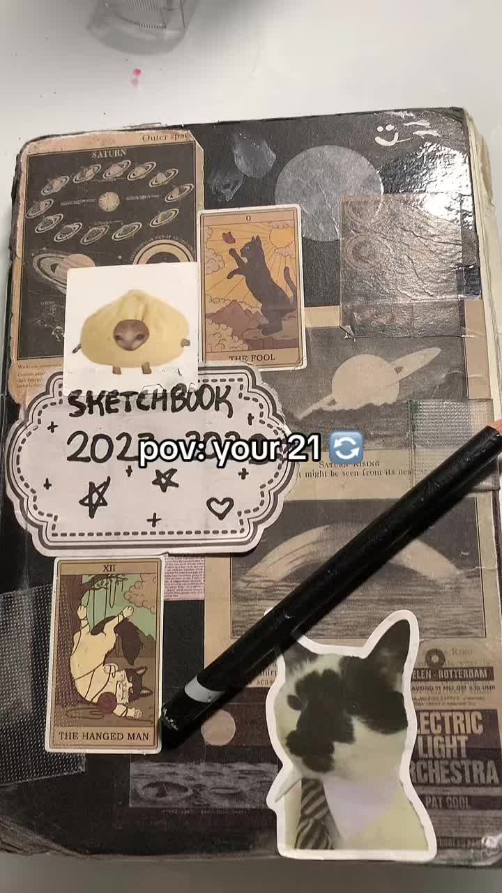 @tofu cat ⭑