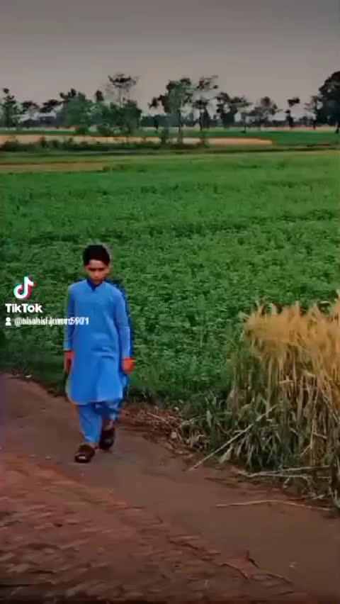 @Shahid Imran