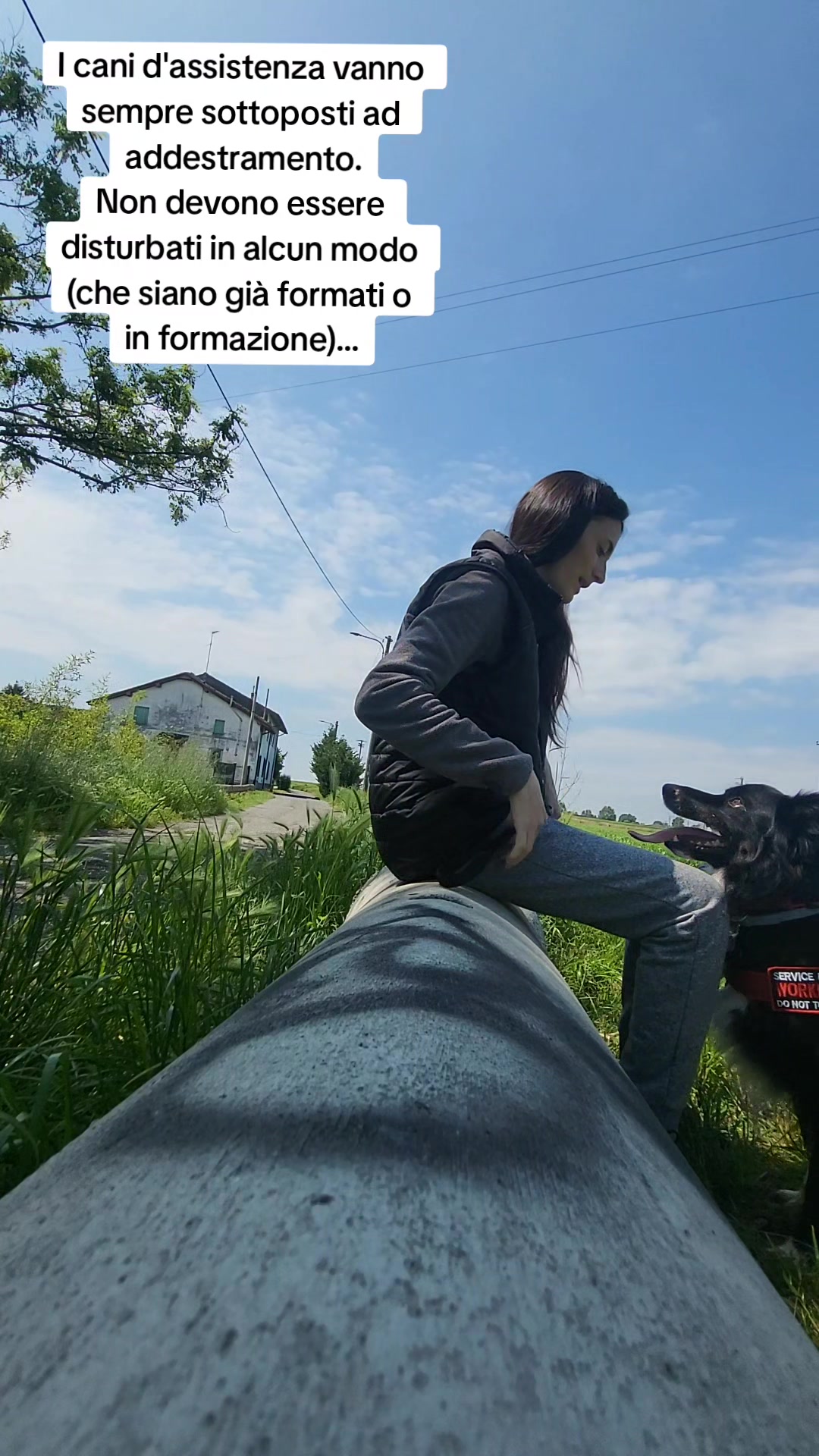 @Service dog Falco 🐾🦅🌈