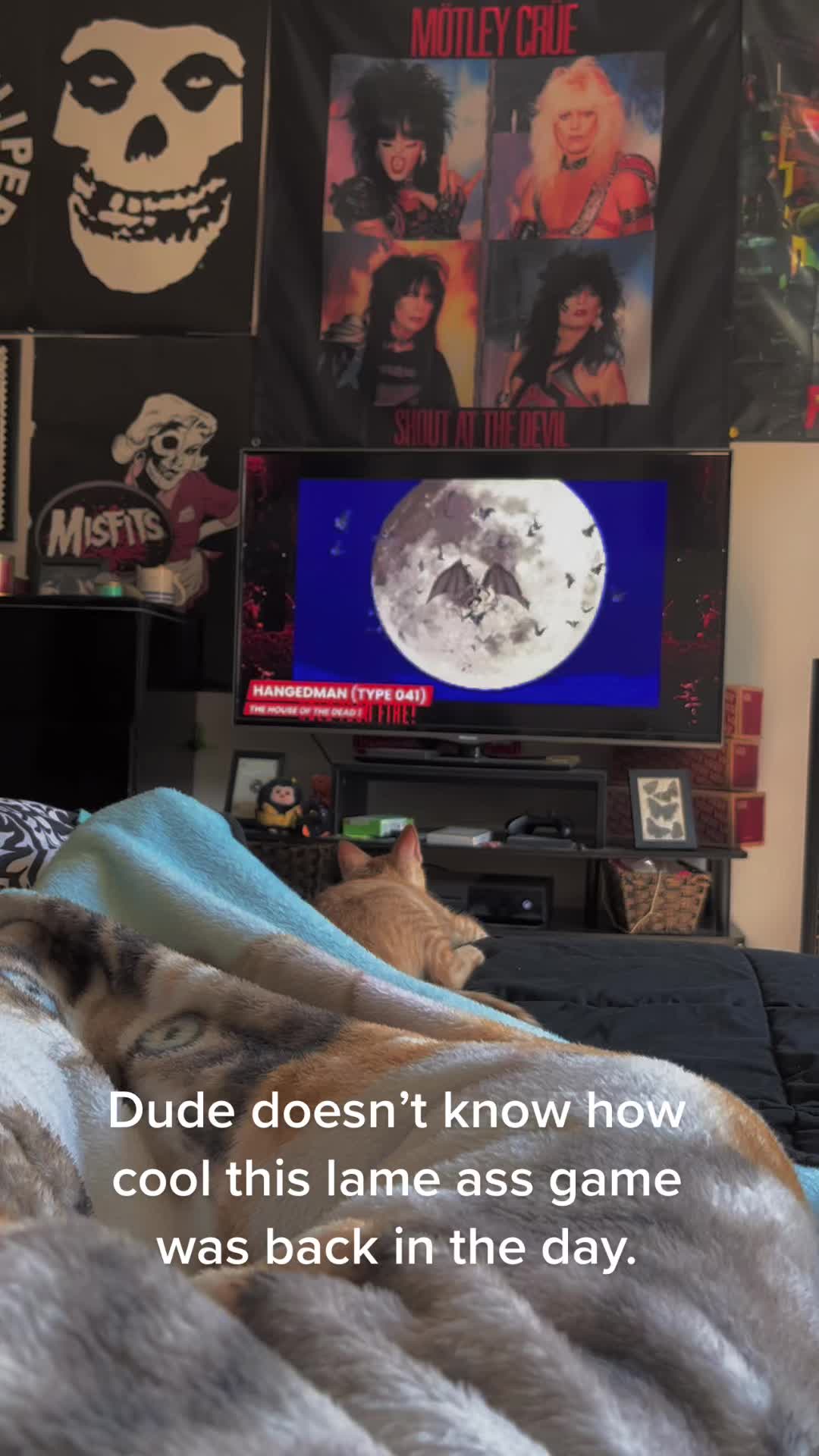 @Gato