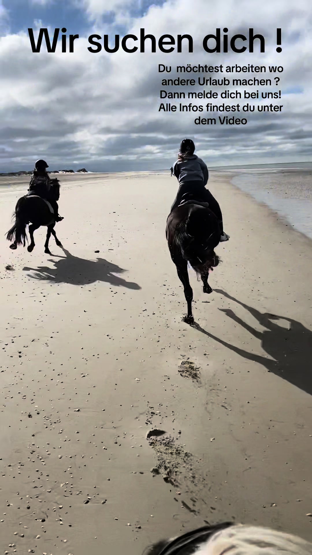 @reiterhof.andresen.amrum