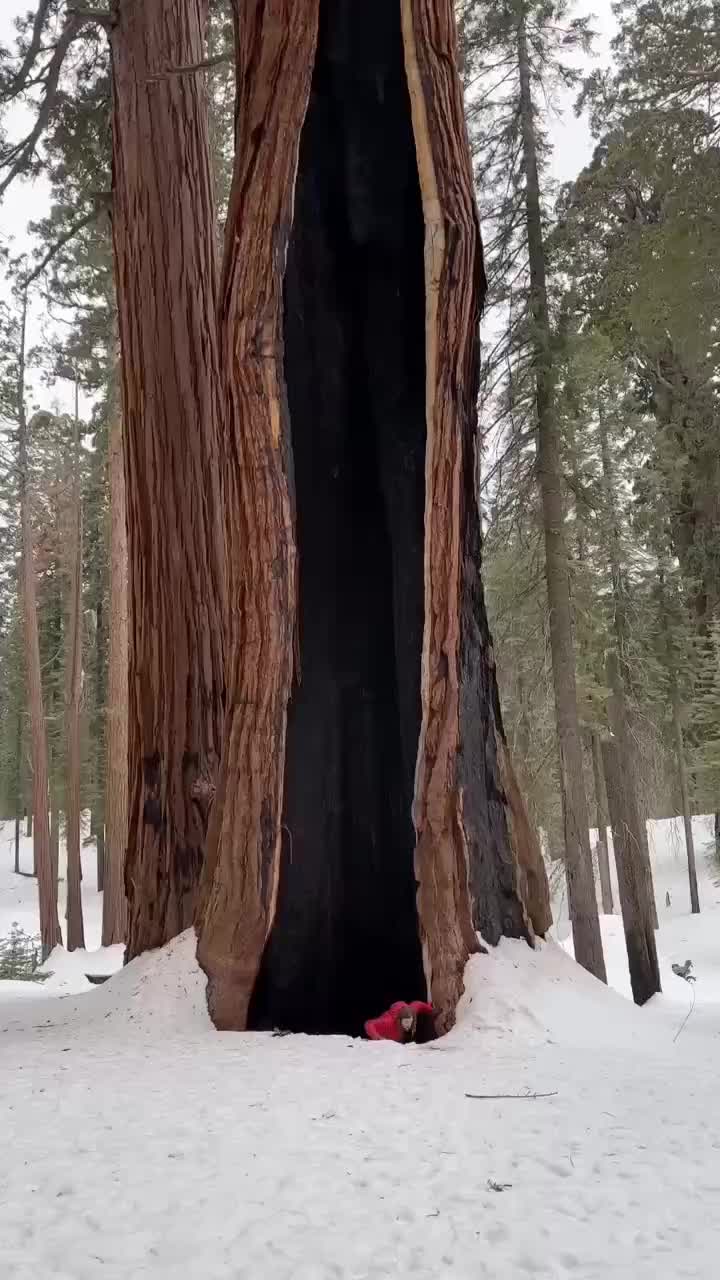 @XXnature05