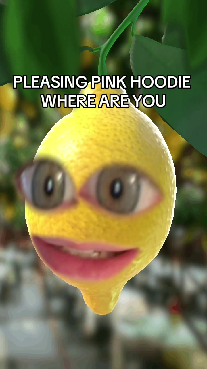 @talkinglemonrry
