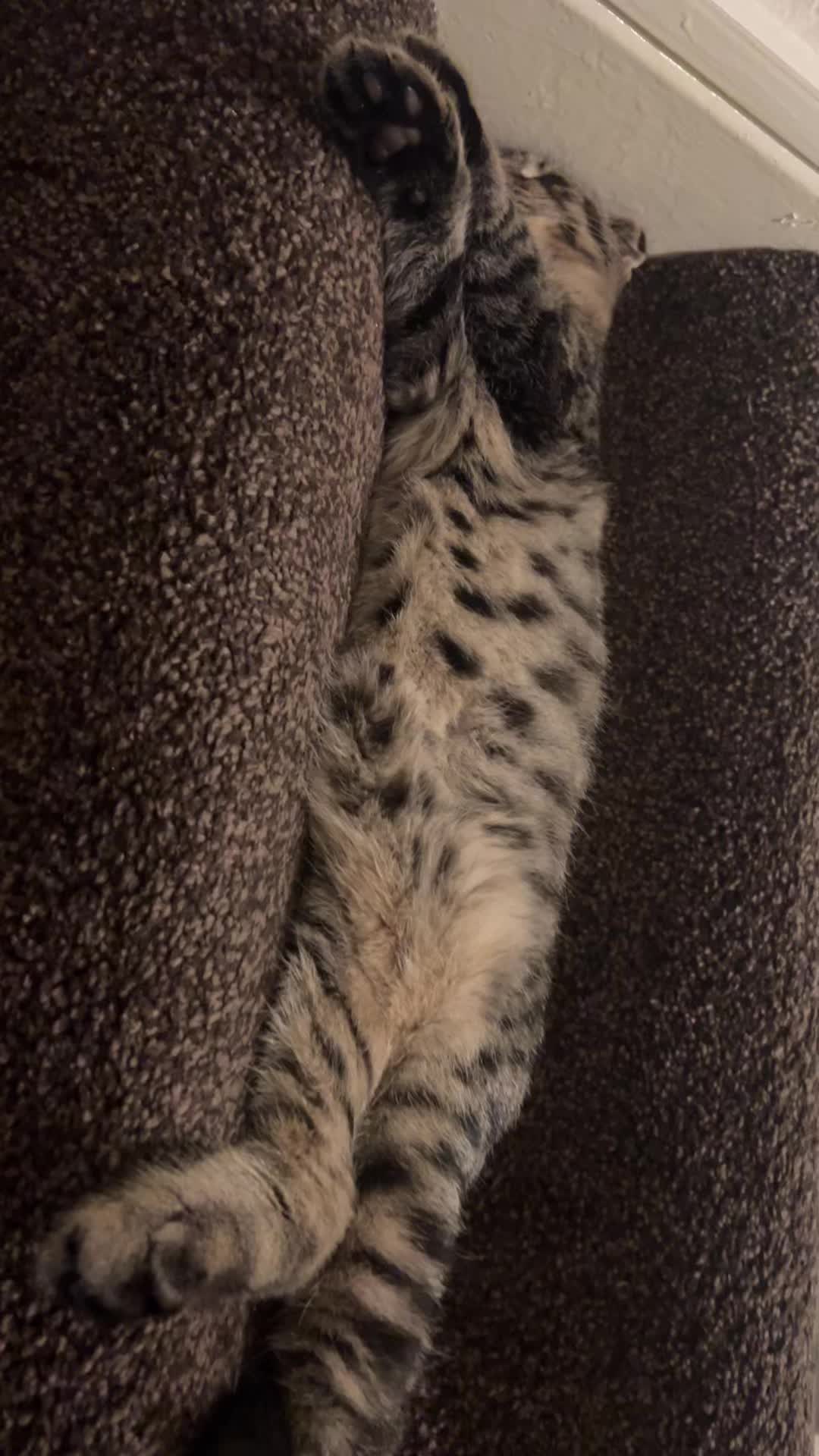 @ูููู๐