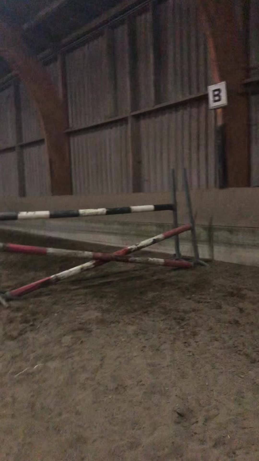 @Jumping Ponies 🔛🔝
