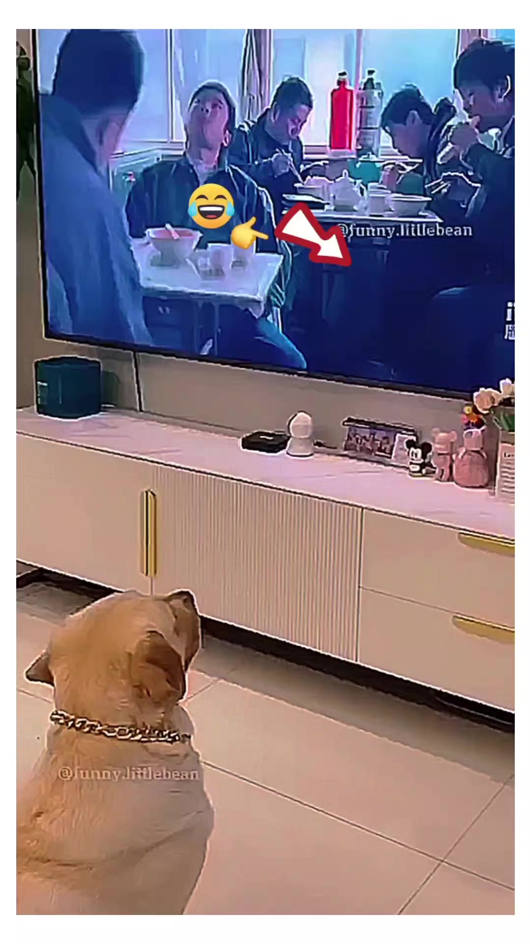 @Chillszone🤣