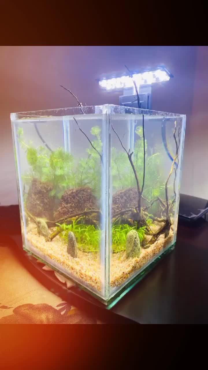 @goldenaquahub