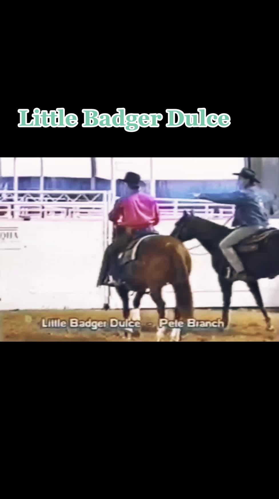 @cuttinghorsess
