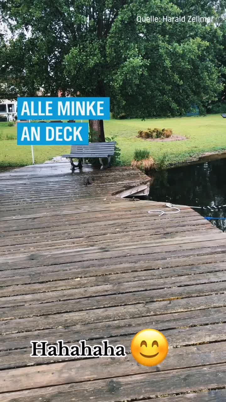 @Sunny