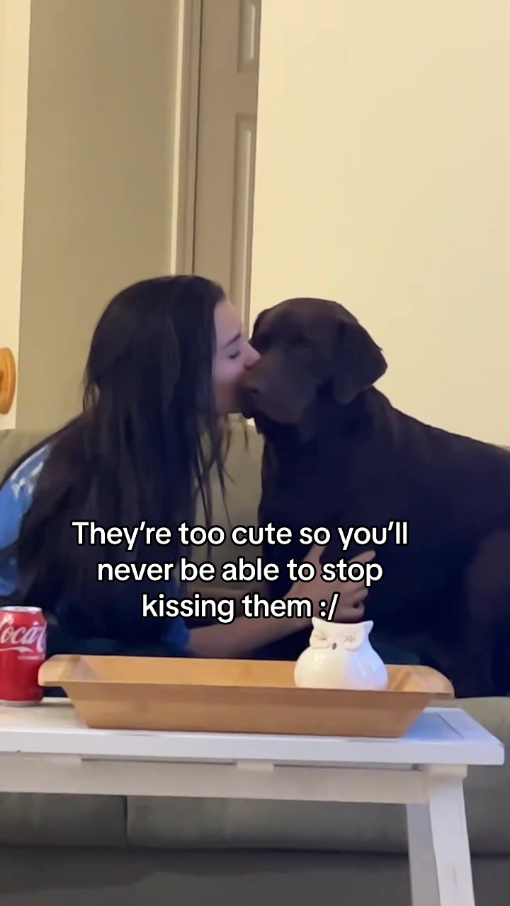 @Boo Bear