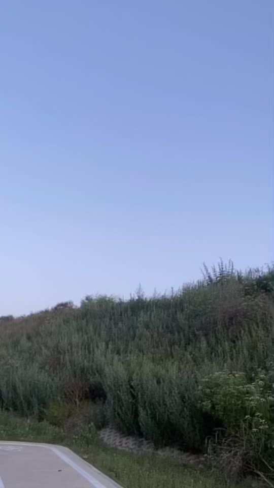 @Д. Дамбаа