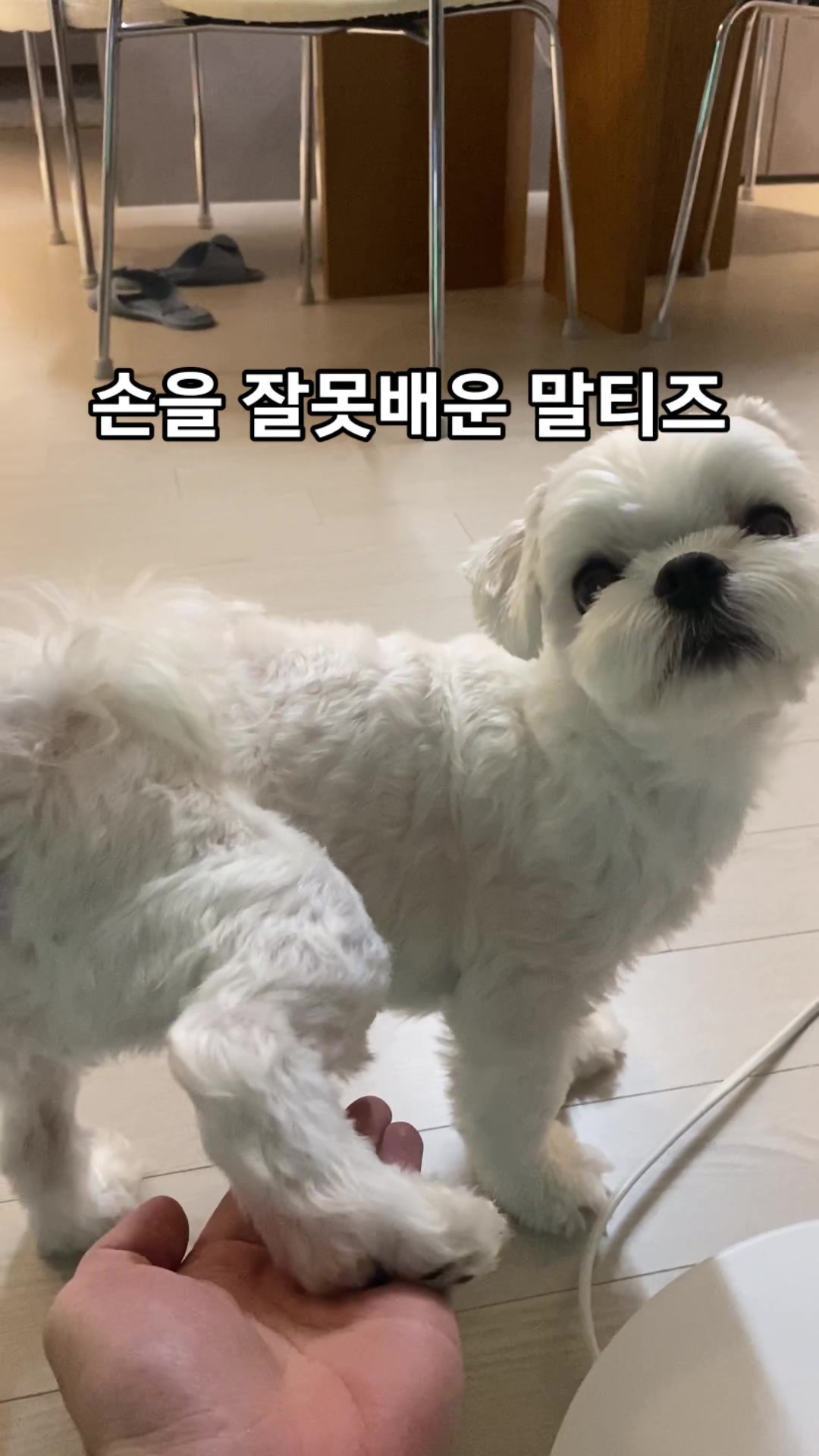 @박까까