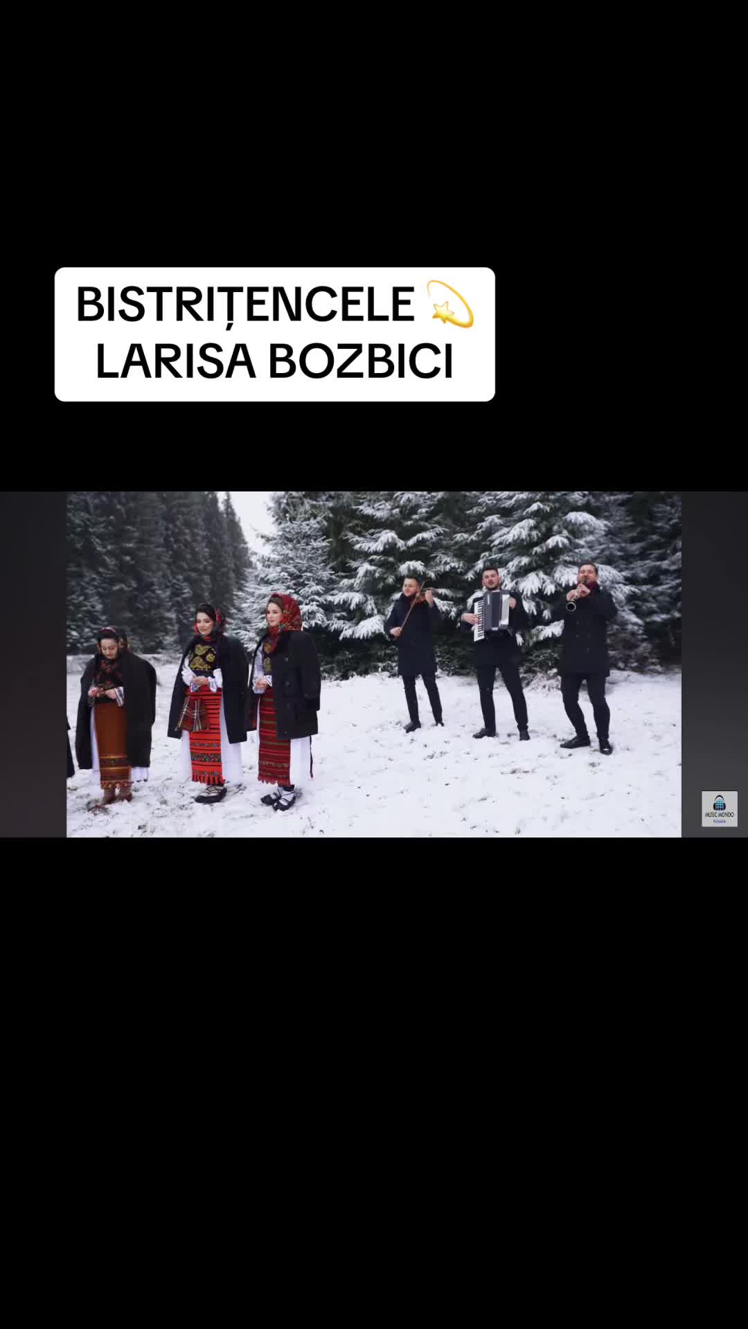 @Larisa Bozbici