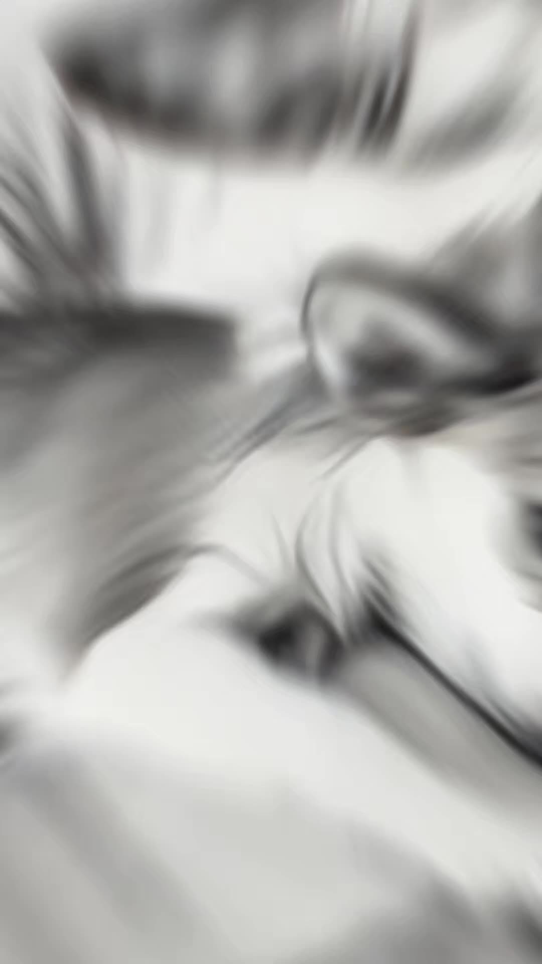 @Lovemycat