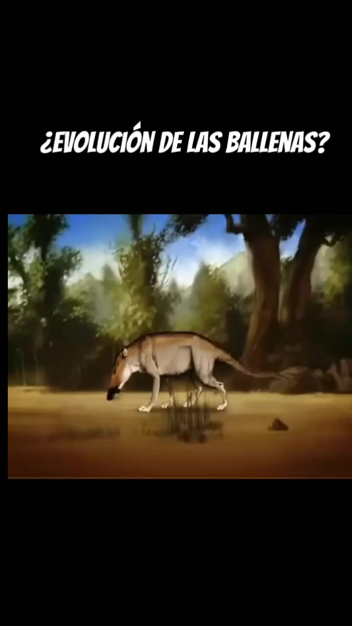 @Broken videos 07