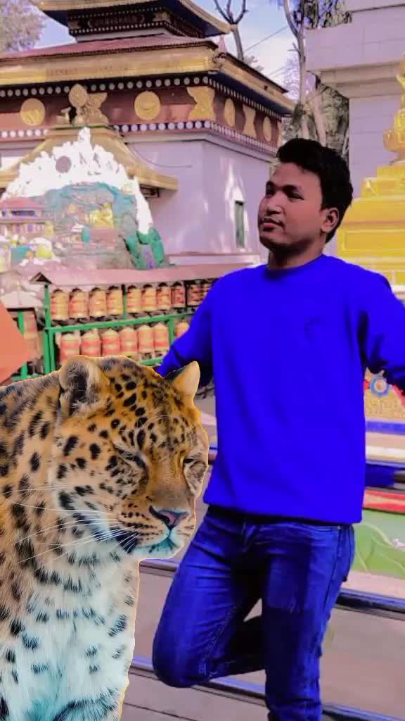 @soyam bohara 123