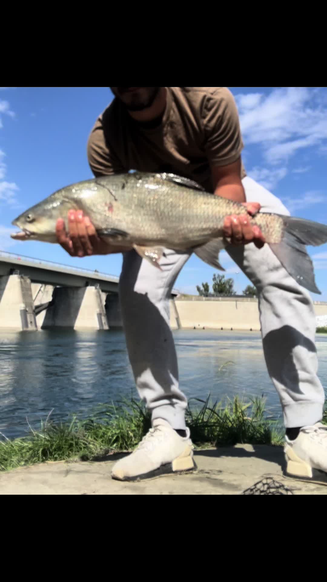 @ViennaDsFishing