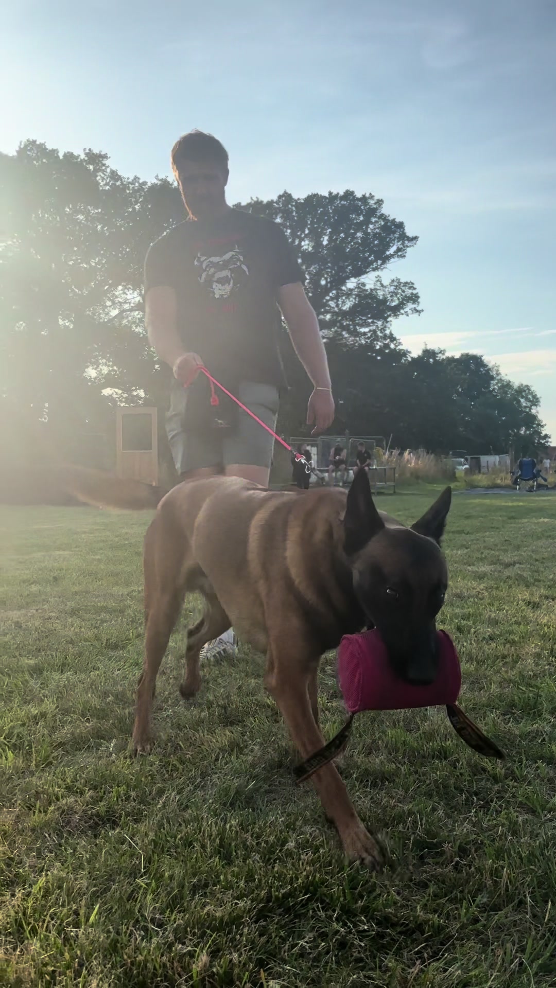 @Sirius K9