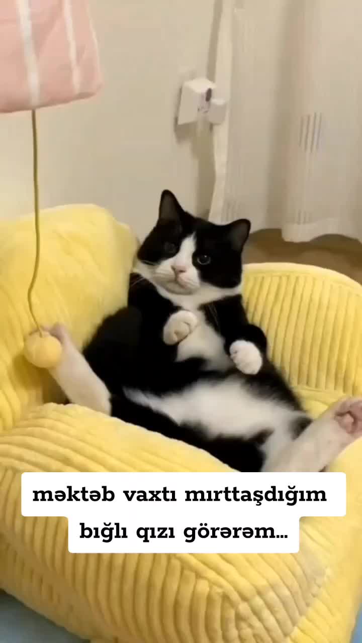 @👹ruling_time • Arkadaşsınız