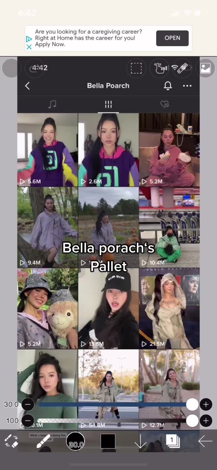 @tiktokersz_pallets