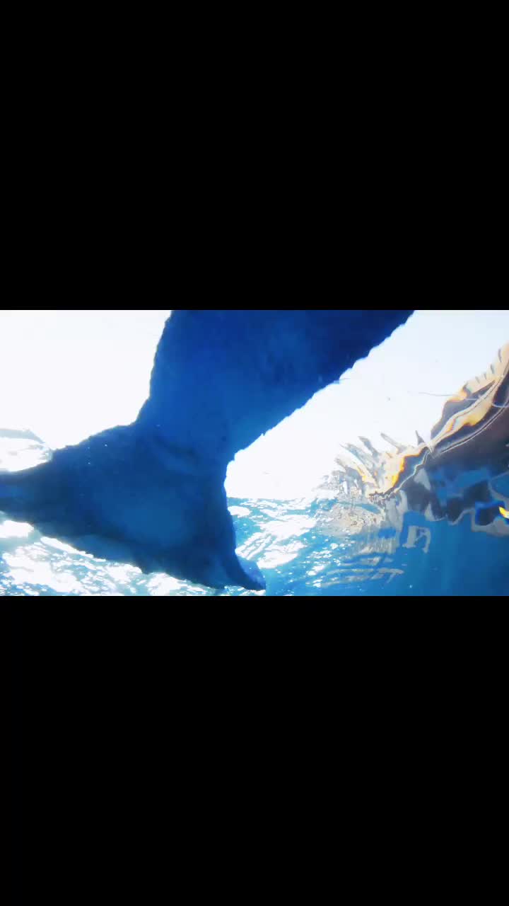@Moon Mermaid ๐